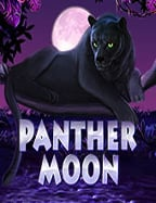 สมัครแทงบอลฟรีเครดิต บอกเทคนิคพร้อมเคล็ดลับเด็ดๆ