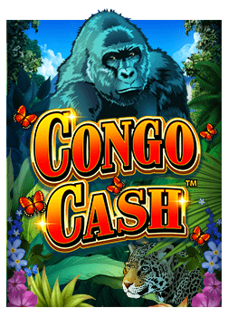 เทคนิคการเล่นและรับ โบนัส ฟรี ไม่ ต้อง ฝาก แบบมืออาชีพ